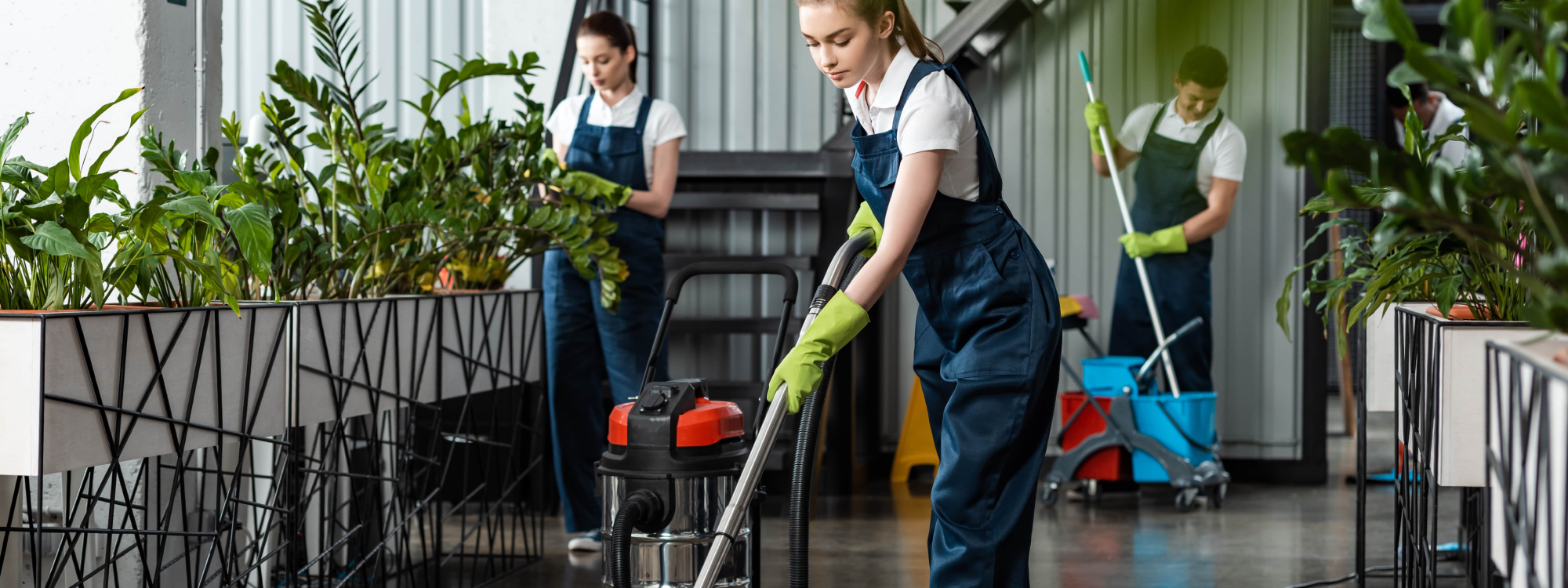 Janitorial Services